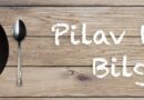 pilavustubilgi.com