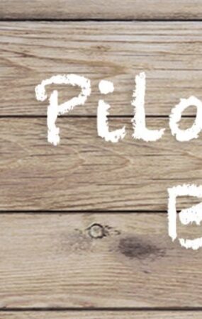 pilavustubilgi.com