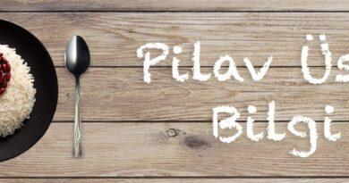 pilavustubilgi.com