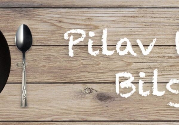 pilavustubilgi.com