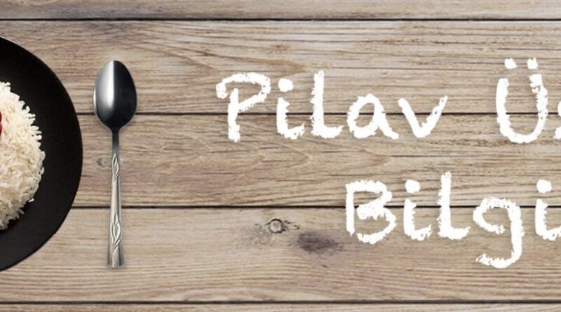 pilavustubilgi.com